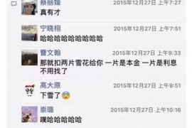 过年收到催收短信:揭秘催收短信背后的秘密 过年收到催收短信:揭秘催收短信背后的秘密