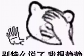 石家庄讨债公司电话多少啊?专业机构助您解决债务难题 石家庄讨债公司电话多少啊?专业机构助您解决债务难题