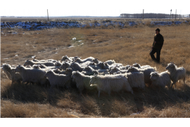 陕西催收公司哪里找? 陕西催收公司哪里找?