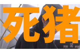 博野催收公司电话号码查询：轻松获取专业服务