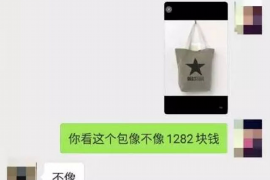 连山追款公司排名:揭秘高效催收领域的佼佼者 连山追款公司排名:揭秘高效催收领域的佼佼者
