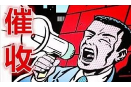 催收公司催收计划:高效执行的策略解析 催收公司催收计划:高效执行的策略解析